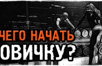 Программа тренировок для новичков. Начинаем создавать себя!