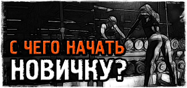 Программа тренировок для новичков. Начинаем создавать себя!
