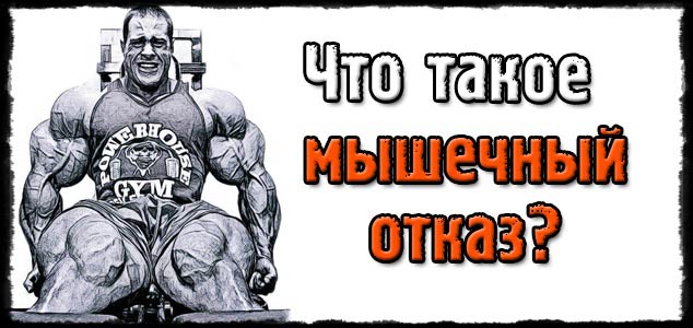 Что такое мышечный отказ?