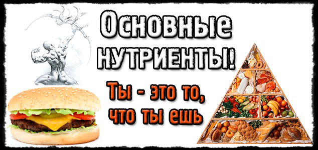 Основные нутриенты! Ты — это то, что ты ешь.