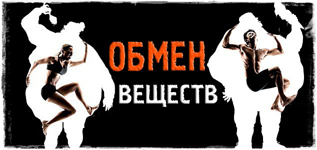Обмен веществ в организме!