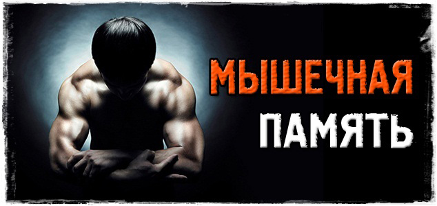 Что такое мышечная память?