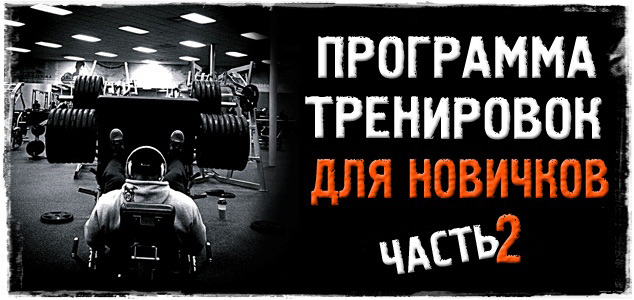 Программа тренировок для новичков! СЛЕДУЮЩИЙ УРОВЕНЬ