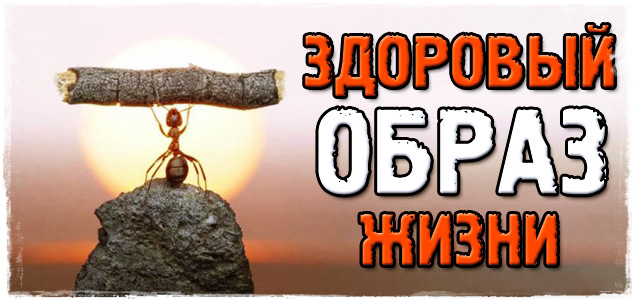 Здоровый образ жизни