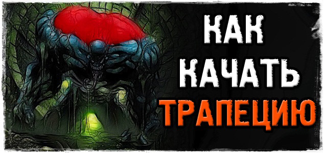 Как накачать трапецию: эффективная тренировка трапециевидной мышцы