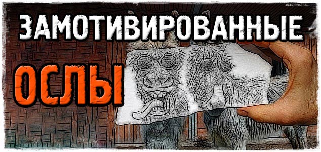 Замотивированные ослы