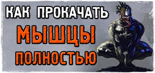ВАЖНЫЕ ЗНАНИЯ о различных типах мышечных волокон