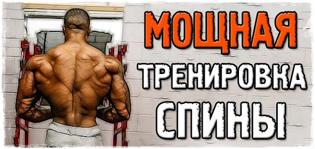 Как накачать спину: мощные советы для развития V-образных мышц спины