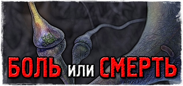 Боль или смерть