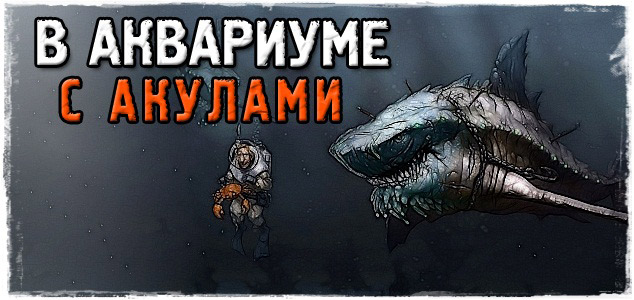 В аквариуме с акулами