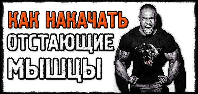 Как заставить расти то, что напрочь отказывается расти