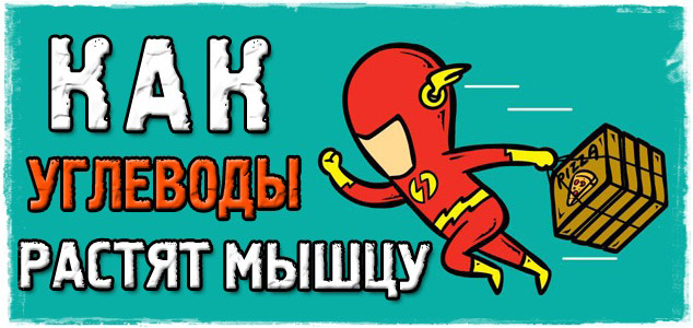 Как энергия, ПОЛУЧЕННАЯ ИЗ УГЛЕВОДОВ, помогает растить мышцу