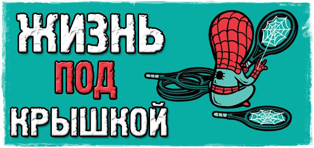 Жизнь под крышкой