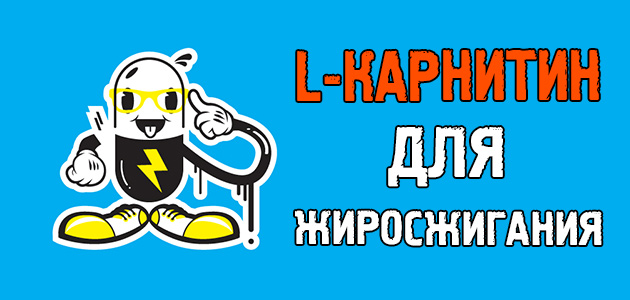 Как принимать л-карнитин для похудения, и что это вообще такое?