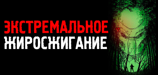 Мой продукт «Экстремальное жиросжигание. Эффективная система избавления от лишнего жира», хорошие новости + 2 просьбы
