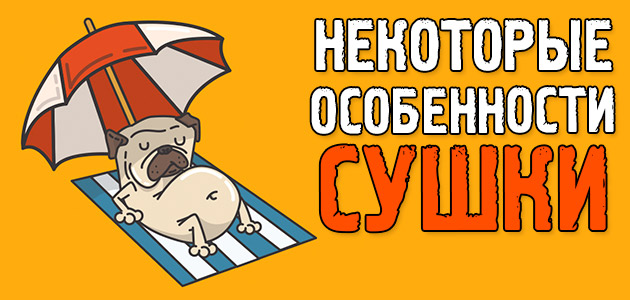 Как просушиться к лету, чтобы все вокруг офигели! История о моём первом похудении, психология похудения, отзывы + небольшая просьба