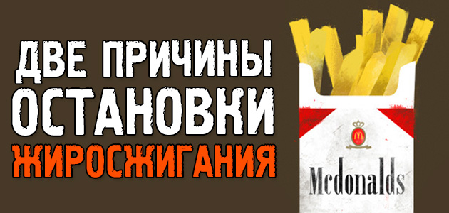Две основные причины, почему вы перестали худеть на диете