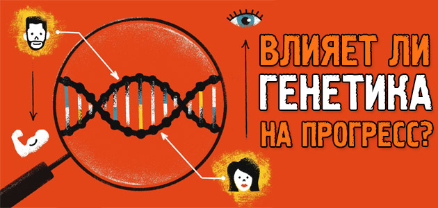 Влияет ли генетика на прогресс?