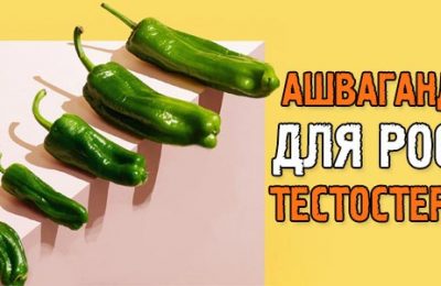 Ашвагандха — мощное средство для роста тестостерона