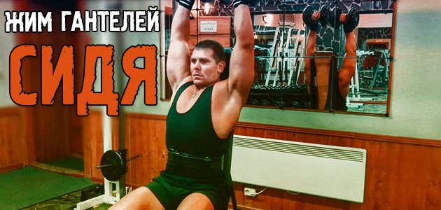 Жим гантелей сидя. Крутое упражнение для роста ваших плеч!