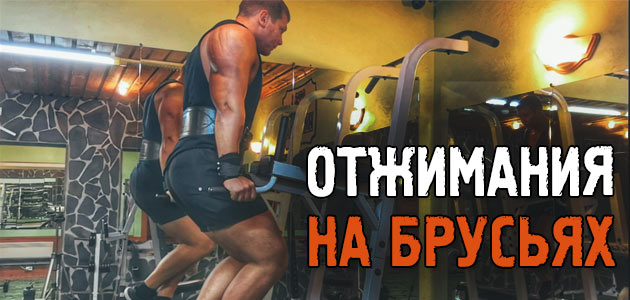 Отжимания на брусьях! Техника выполнения упражнения и другие важные фишки