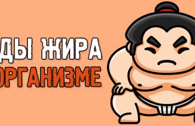 Виды жира в организме человека