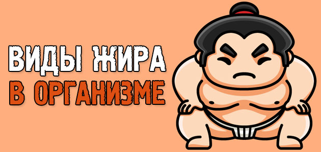 Виды жира в организме человека