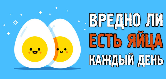 Вредно ли есть яйца каждый день и волноваться ли из-за холестерина?