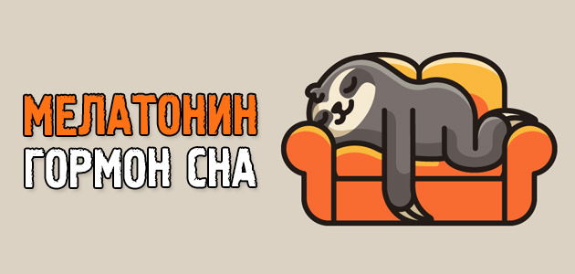 Что такое мелатонин, зачем он нужен и как он помогает оставаться здоровым