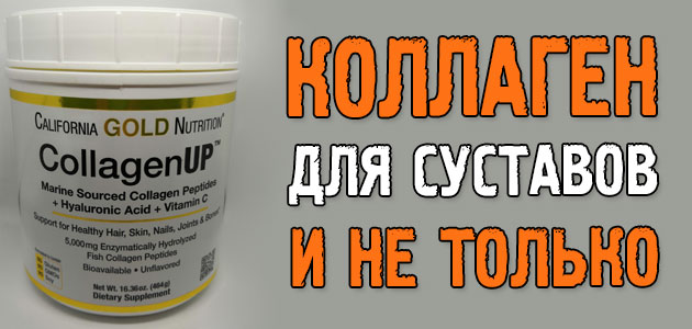 Коллаген для суставов: лучшая добавка для ваших связок, сухожилий, хрящей и кожи