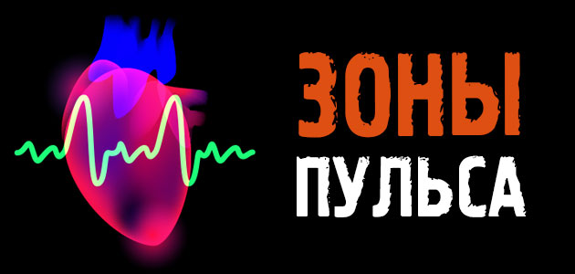 Зоны пульса: для чего они нужны, таблица по возрастам, а также формулы ЧСС