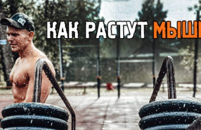 Как растут мышцы: несколько вещей, о которых мало кто знает
