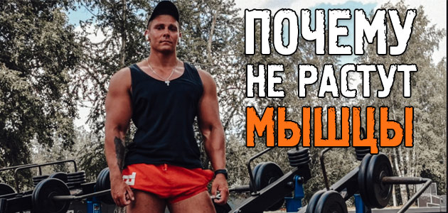 Почему не растут мышцы после тренировок? Главная загадка бодибилдинга!